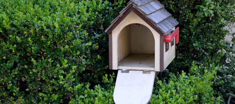 Bild: F. Muhammad / Pixabay 